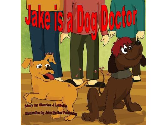 Jake is a Dog Doctor