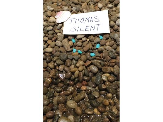 Thomas Silent: or, Why there are no more mermaids