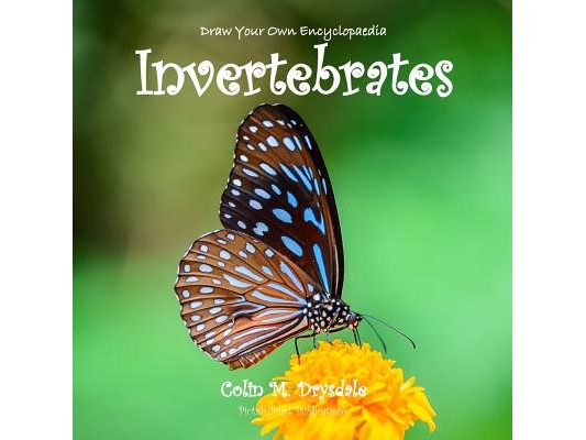 Draw Your Own Encyclopaedia Invertebrates