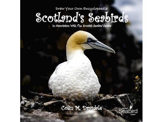 Draw Your Own Encyclopaedia Scotland's Seabirds