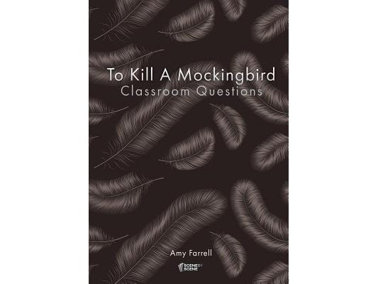 To Kill a Mockingbird Classroom Questions