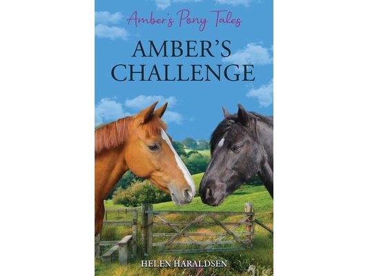 Amber's Challenge