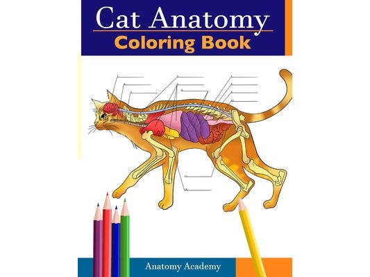 Cat Anatomy Coloring Book: Incredibly Detailed Self-Test Feline Anatomy Color workbook Perfect Gift for Veterinary Students, Cat Lovers & Adults