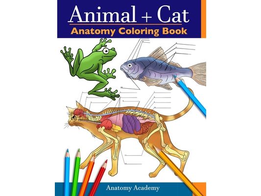 Animal & Cat Anatomy Coloring Book: 2-in-1 Compilation Incredibly Detailed Self-Test Veterinary & Feline Anatomy Color workbook