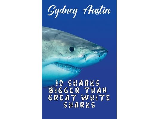10 Sharks Bigger Than Great White Sharks