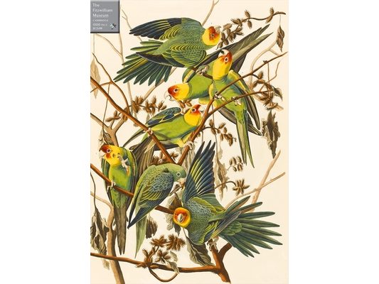 Carolina Parakeets 1000 Piece Jigsaw Puzzle: A Fitzwilliam Museum Publication