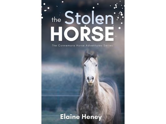 The Stolen Horse - Book 4 in the Connemara Horse Adventure Series for Kids The Perfect Gift for Children age 8-12