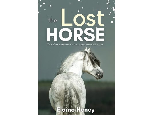 The Lost Horse - Book 6 in the Connemara Horse Adventure Series for Kids