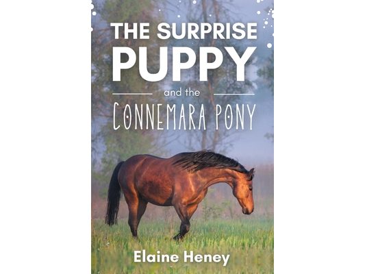 The Surprise Puppy and the Connemara Pony - The Coral Cove Horses Series