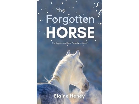 The Forgotten Horse - Book 1 in the Connemara Horse Adventure Series for Kids The Perfect Gift for Children