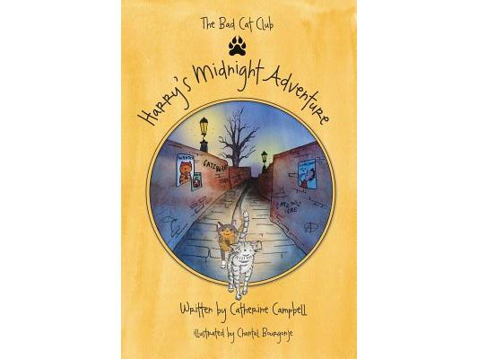 Harry's Midnight Adventure