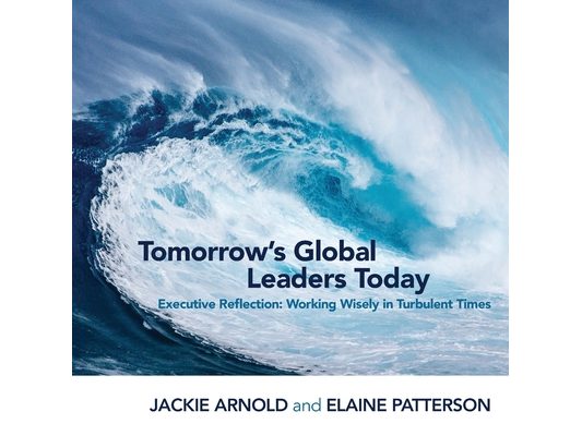 Tomorrow's Global Leaders Today: Executive Reflection: Working Wisely in Turbulent Times