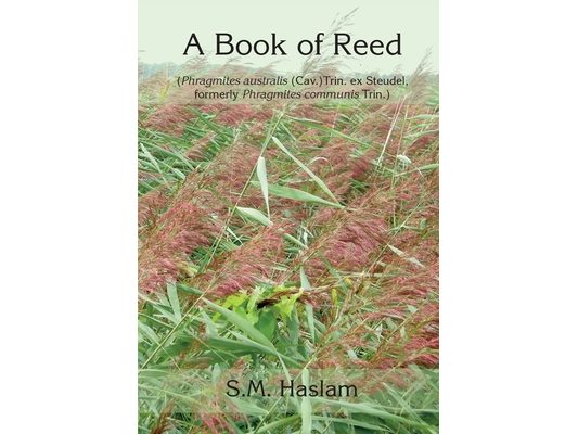 A BOOK OF REED (Phragmites australis (Cav.) Trin. ex Steudel, formerly Phragmites communis Trin.): A Book of Reed