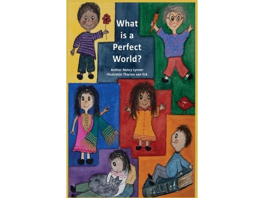 What is a Perfect World?