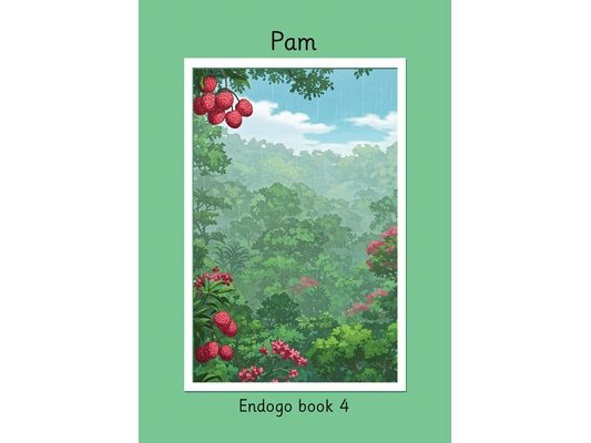 Pam Endogo book 4