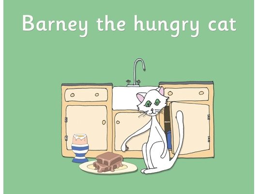 Barney the hungry cat