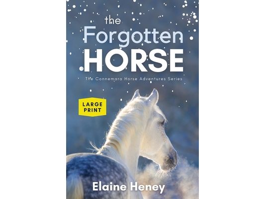 The Forgotten Horse - Book 1 in the Connemara Horse Adventure Series LARGE PRINT