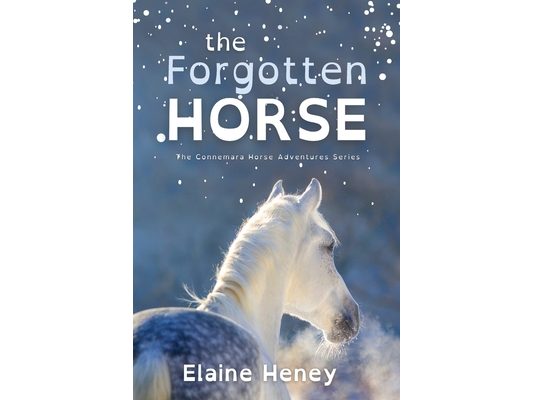 The Forgotten Horse - Dyslexia Friendly