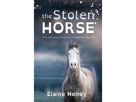The Stolen Horse - Dyslexia Friendly