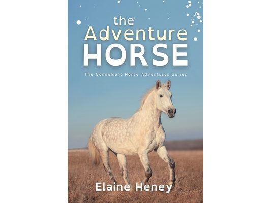 The Adventure Horse - Dyslexia Friendly
