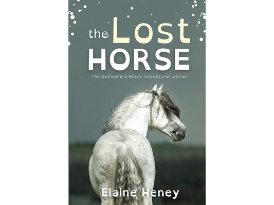 The Lost Horse - Dyslexia Friendly