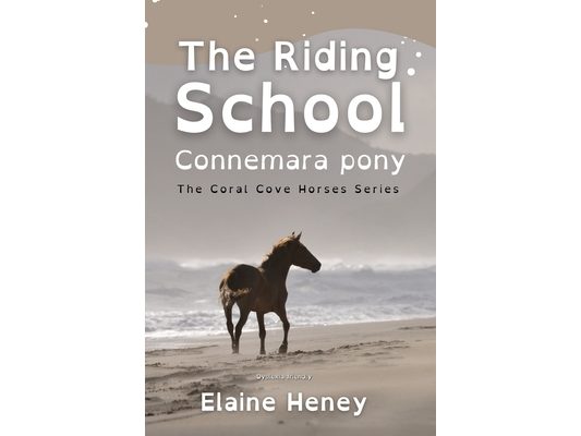 The Riding School Connemara Pony - Dyslexia Friendly