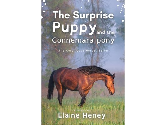 The Surprise Puppy and the Connemara Pony - Dyslexia Friendly