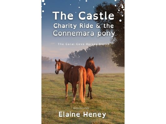 The Castle Charity Ride and the Connemara Pony - Dyslexia Friendly