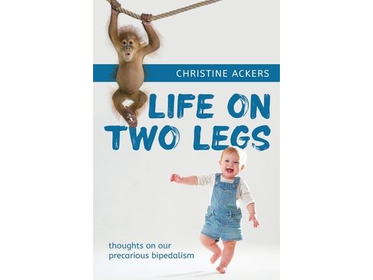 Life on Two Legs: thoughts on our precarious bipedalism
