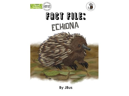 Fact File: Echidna - Our Yarning