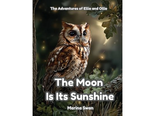 The Moon Is Its Sunshine