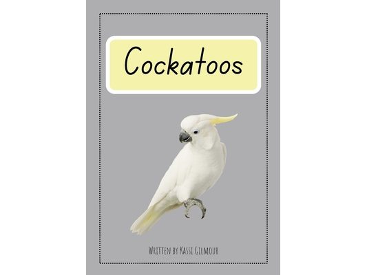 Cockatoos: Aussie Readers Decodable Texts Set 11