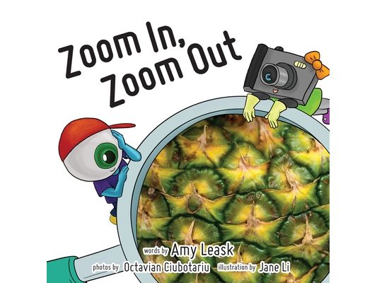 Zoom In, Zoom Out