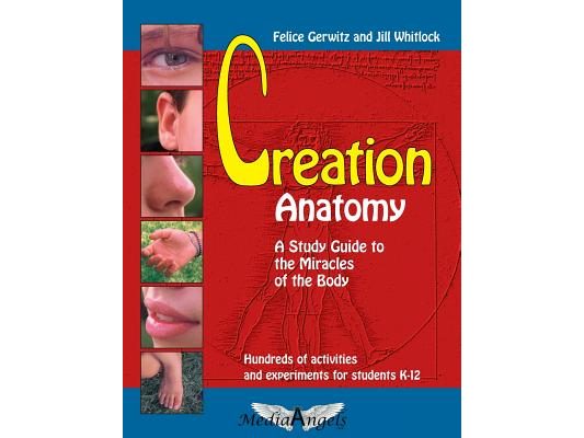 Creation Anatomy: A Study Guide to the Miracles of the Body