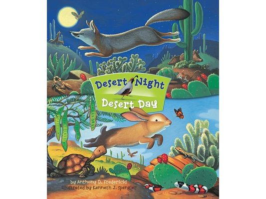 Desert Night Desert Day