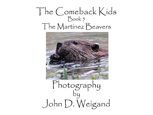 The Comeback Kids, Book 5, The Martinez Beavers
