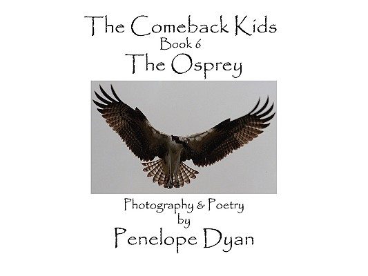 The Comeback Kids, Book 6, The Osprey