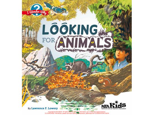 Looking for Animals: I Wonder Why