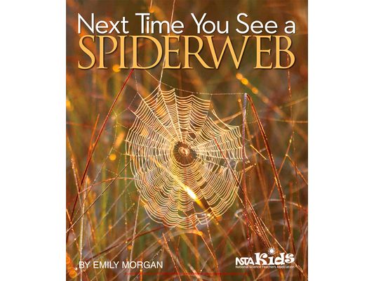 Next Time You See a Spiderweb
