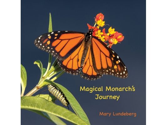 Magical Monarch's Journey