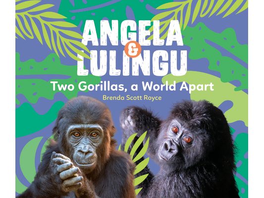 Angela & Lulingu: Two Gorillas, a World Apart