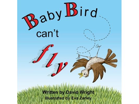 Baby Bird Can't Fly