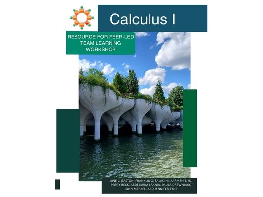 Calculus I: Learning with AI Tools