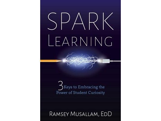 Spark Learning: 3 Keys to Embracing the Power of Student Curiosity