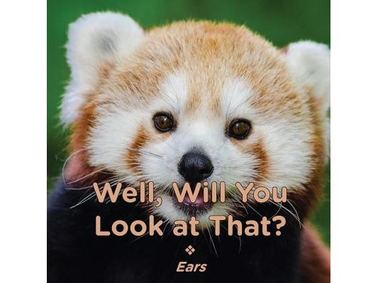 Well, Will You Look at That? Ears