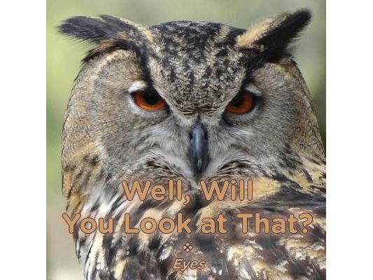 Well, Will You Look at That? Eyes