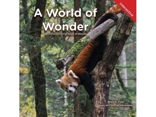 A World of Wonder: A Child's Interactive Book of Wonder