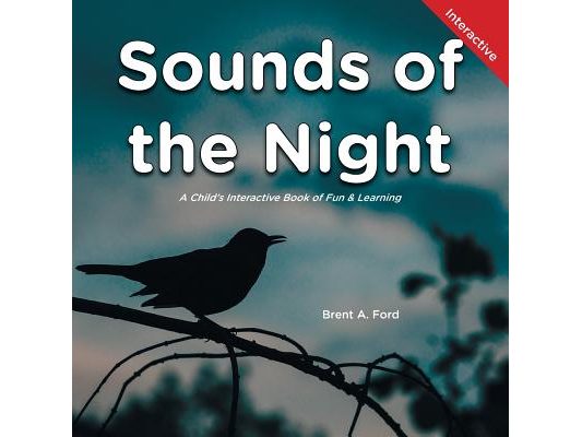 Sounds of the Night: A Child's Interactive Book of Fun & Learning
