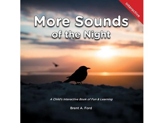 More Sounds of the Night: A Child's Interactive Book of Fun & Learning