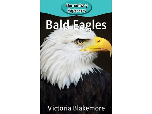 Bald Eagles